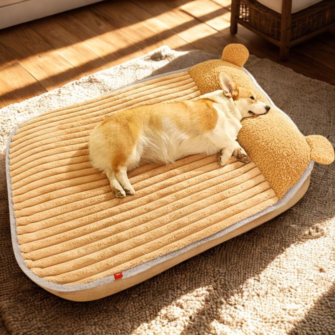 Coussin-déhoussable-pour-chien-lavable-matelas-à mémoire de forme haute élasticité 100% coton haute densité pour un soutien ergonomique qui protège les chiens agés ou avec problème d'articulation-lavable en machine-chaud en velours doux et résistant aux griffes pour chien de petite à grande taille-un chien qui dort paisiblement sur son grand coussin antidérapant de couleur marron en reposant sa tête sur le rebord surélevé apaisé dans le salon de l'appartement