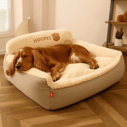 Coussin-déhoussable-pour-chien-lit-un chien de taille moyenne qui dort paisiblement sur son coussin en reposant sa tête et son cou sur le rebord du panier doux et rembourré 100% coton haute densité lavable en machine, antidérapant, imperméable dans le salon de l'appartement