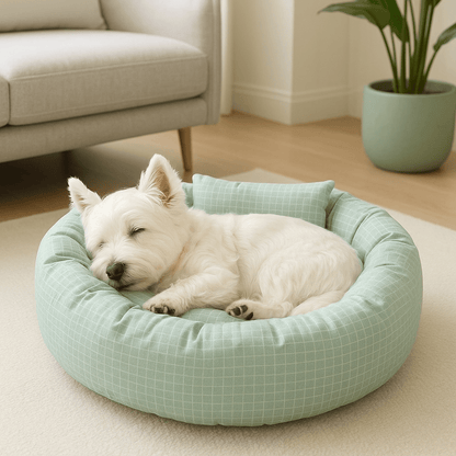 Coussin-pour-chien-avec-rebord 360° protecteur anti-stress-rond et rembourré 100% coton haute densité-housse en coton écologique et respirant-pour chien de petite à moyenne taille de 0 à 12 kg-lavable en machine-imperméable et antidérapant-carreaux graphique discret blanc-compact léger et transportable-un petit chien blanc qui dort paisiblement couché dans son lit rond donut épais dans le salon de la maison