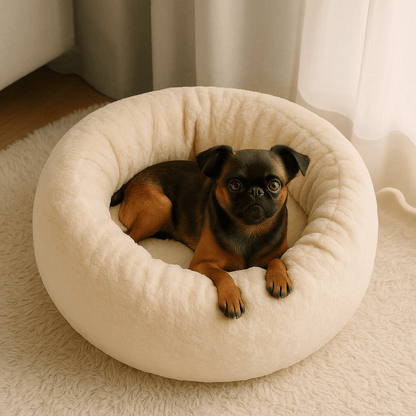 Coussin-pour-chien-chiot-chaud-lavable en machine-velours et rembourrage 100% coton haute densité ergonomique-antidérapant et imperméable-hypoallergénique-lit rond pour petit chien de 0 à 9 kg-un petit chien confortablement couché dans son coussin gris épais avec rebord surélevé aux matériaux naturels dans le salon de la maison