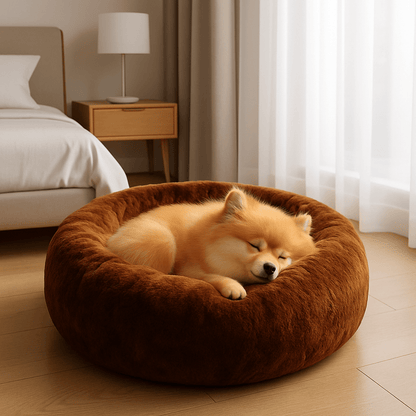 Coussin-pour-chien-chiot-chaud-lavable en machine-velours et rembourrage 100% coton haute densité ergonomique-antidérapant et imperméable-hypoallergénique-lit rond pour petit chien de 0 à 9 kg-un chien de race naine qui dort paisiblement couché en boule dans son coussin marron épais avec rebord surélevé aux matériaux naturels dans le salon de l'appartement