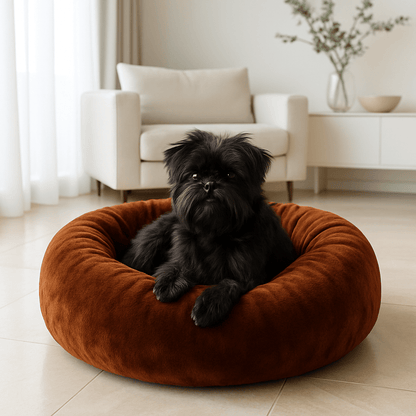 Coussin-pour-chien-chiot-chaud-lavable en machine-velours et rembourrage 100% coton haute densité ergonomique-antidérapant et imperméable-hypoallergénique-lit rond pour petit chien de 0 à 9 kg-un chien de race naine couché confortablement couché dans son coussin marron en forme de donut épais avec rebord surélevé aux matériaux naturels dans le salon de l'appartement