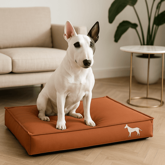 Coussin-pour-chien-imperméable-similicuir-coton-un Bull Terrier Miniature assis confortablement sur son lit au rembourrage 100% coton haute densité déhoussable avec housse en simili cuir solide et résistant aux griffes, antidérapant pour chien de petite à moyenne taille
