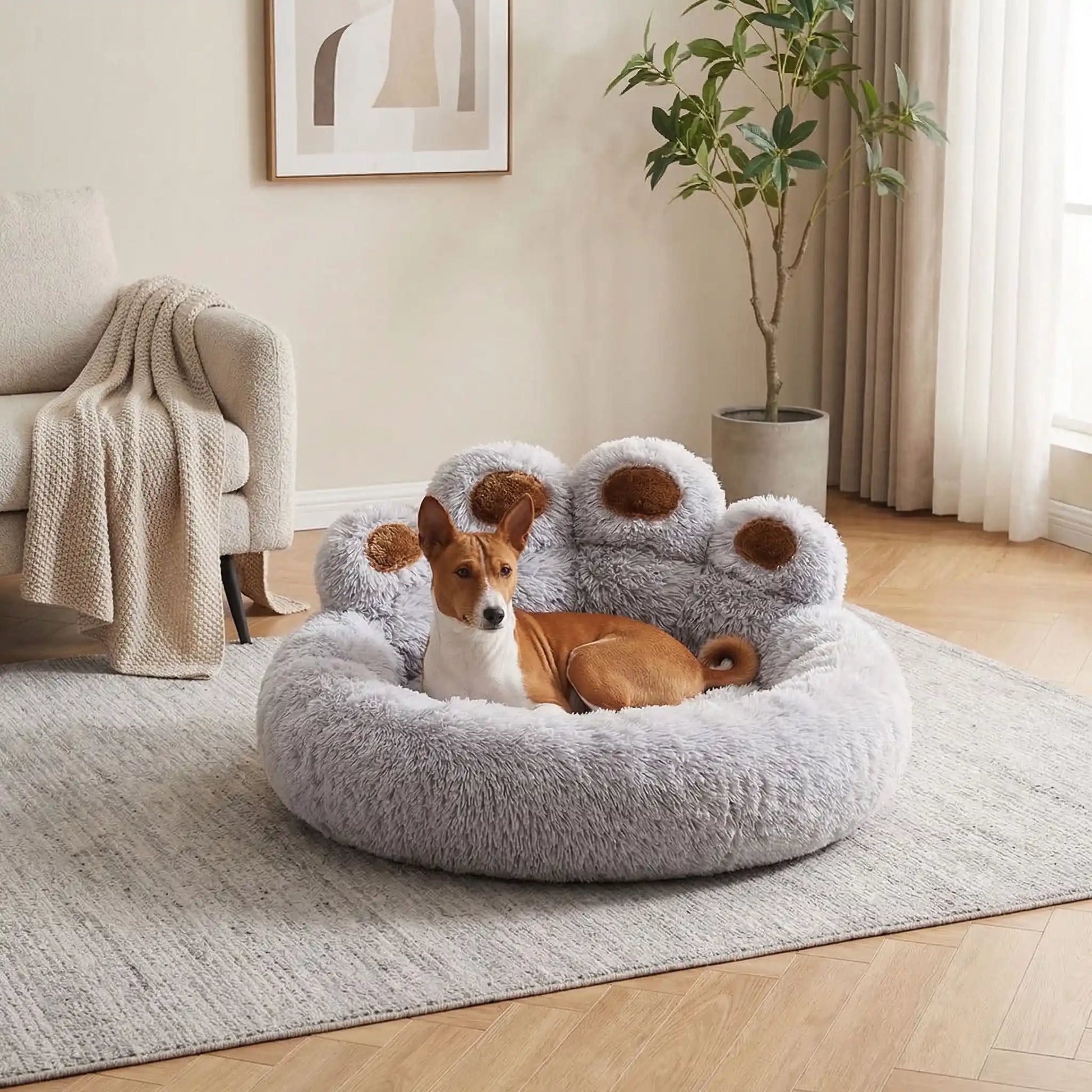Coussin-pour-chien-chiot-ergonomique, rembourrage 100% coton haute densité, lit rond en peluche, lavable et antidérapant, design original et mignon en patte d'ours-un Basenji confortablement couché et heureux dans son coussin douillet en forme de sofa avec dossier douillet et rebord épais et entourant dans le salon de l'appartement