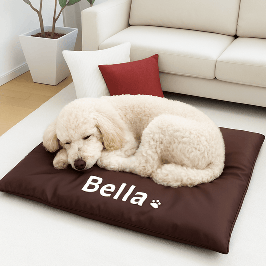 Coussin-pour-chien-personnalisé-déhoussable-marron-coussin intérieur lavable 100% coton avec prénom du chien personnalisable-un caniche moyen qui dort paisiblement sur son coussin imperméable dans le salon de l'appartement