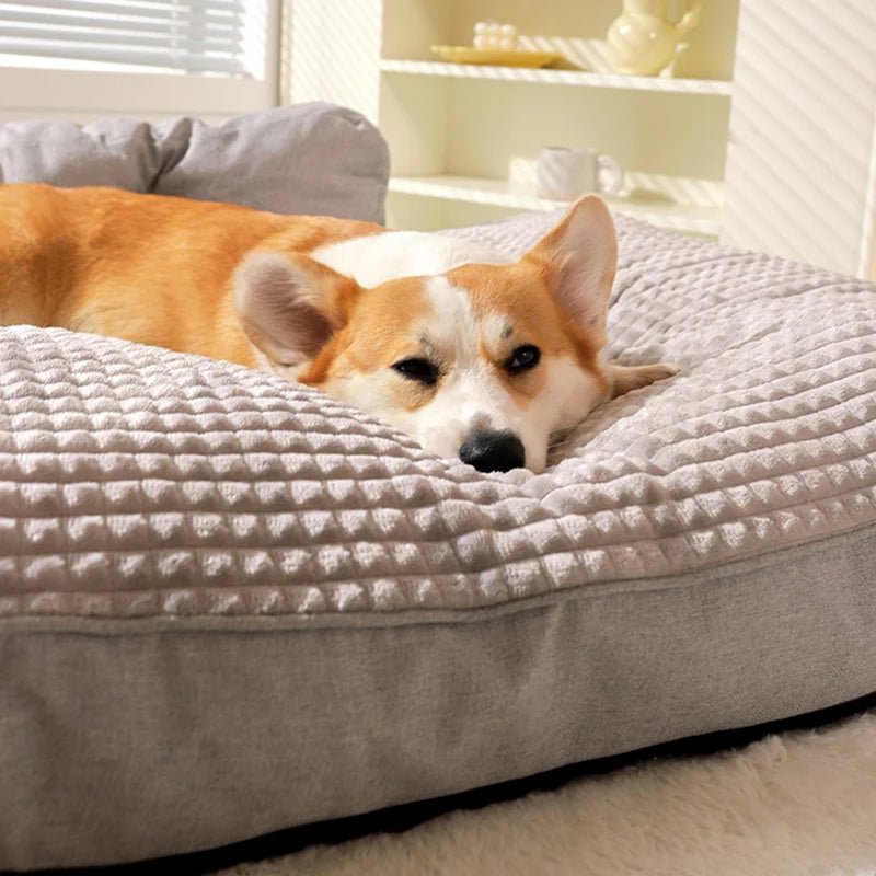 Coussin-pour-chien-xxl-déhoussable-un chien qui s'endort paisiblement sur son lit rectangulaire gris avec matelas éponge 100% coton haute densité antidérapant et imperméable dans le salon de sa maison