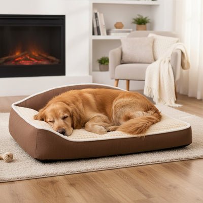 Coussin-pour-chien-xxl-matelas-à-mémoire-de-forme- avec-traversin en L rembourrage épais 100% coton haute densité ergonomique, imperméable antidérapant et déhoussable et lavable en machine pour chien de grande taille jusqu'à 50 kg max, résistant aux griffes et morsure- un chien de grande taille qui dort paisiblement et couché confortablement en boule sur le lit rectangulaire de 120 cm de couleur marron et beige dans le salon de la maison