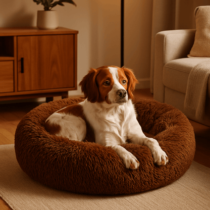 Coussin-xl-pour-chien-anti-anxiété-anti-stress-lavable en machine-antidérapant en peluche douce-lit rond rembourré 100% coton haute résilience-un chien de taille moyenne couché confortablement dans son lit rond en forme de beignet avec rebord de couleur marron dans le salon de l'appartement