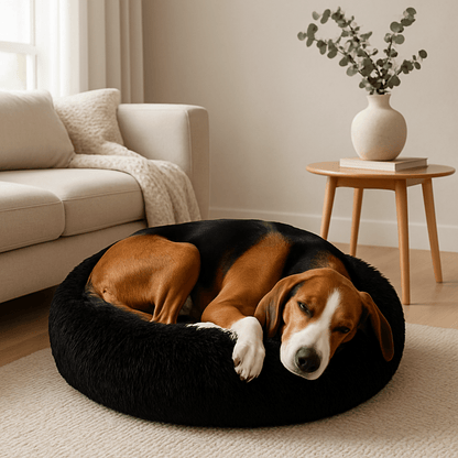 Coussin-xl-pour-chien-panier-rond-lavable en machine-rembourré 100% coton haute densité-antidérapant-un chien de taille moyenne couché dans son lit rond anti-stress et anti-anxiété apaisant, chaud et ergonomique dans le salon de l'appartement