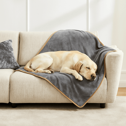 Couverture imperméable pour-chien-plaid-doux-double-face coton et sherpa chaud et respirant pour 4 saisons, protège meuble canapé, siège voiture, lit, panier, coussin, voyage, transport, cage pour chien de petite à moyenne taille lavable en machine, résistante aux griffes et morsures – un labrador qui dort au chaud dans sa couverture douillette et hypoallergénique sur le canapé du salon de l'appartement