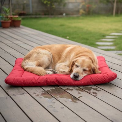 Couverture-imperméable-pour-chien-chiot-pliable avec sangle et clips de fermeture qui le transforme en sac avec poignée de transport intégré-résistant aux griffes et morsures-anti poils et saletés avec son tissu 300D Oxford et rembourrage 100% coton haute densité pour un confort optimal-utilisable partout pour protéger meubles, canapé, siège de voiture ou en coussin rectangulaire pour panier, cage, niche, etc.-un chien qui dort couché confortablement sur la couverture épaisse imperméable dans le jardin 