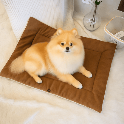 Couverture-pour-chien-3-en-1-coton et velours pour petit chien et chiot lavable en machine à laver, transformable en panier avec rebord surélevé ou tapis réversible double-face ou entourante avec attache sur le coté pour pas glissser et entourer les chiens de petites races sensibles au froid-intérieur en peluche douce et chaude, extérieur respirant velours ultra doux et hypoallergénique-un chien de race naine couché confortablement sur sa couverture en version tapis épais dans le salon de l'appartement