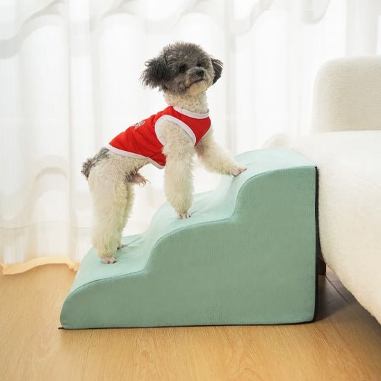 Escalier pour chien chiot antidérapant, déhoussable lavable en machine avec mousse haute résilience à mémoire de forme pour protèger les articulations sensibles, sécurisé , confortable, résistant aux griffes pour petit et chien de moyenne taille-design velours sur le dessus ultra-doux et tissu en coton solide-un petit chien frisé qui monte sur l'escalier de 3 marches en direction du canapé du salon en toute sécurité