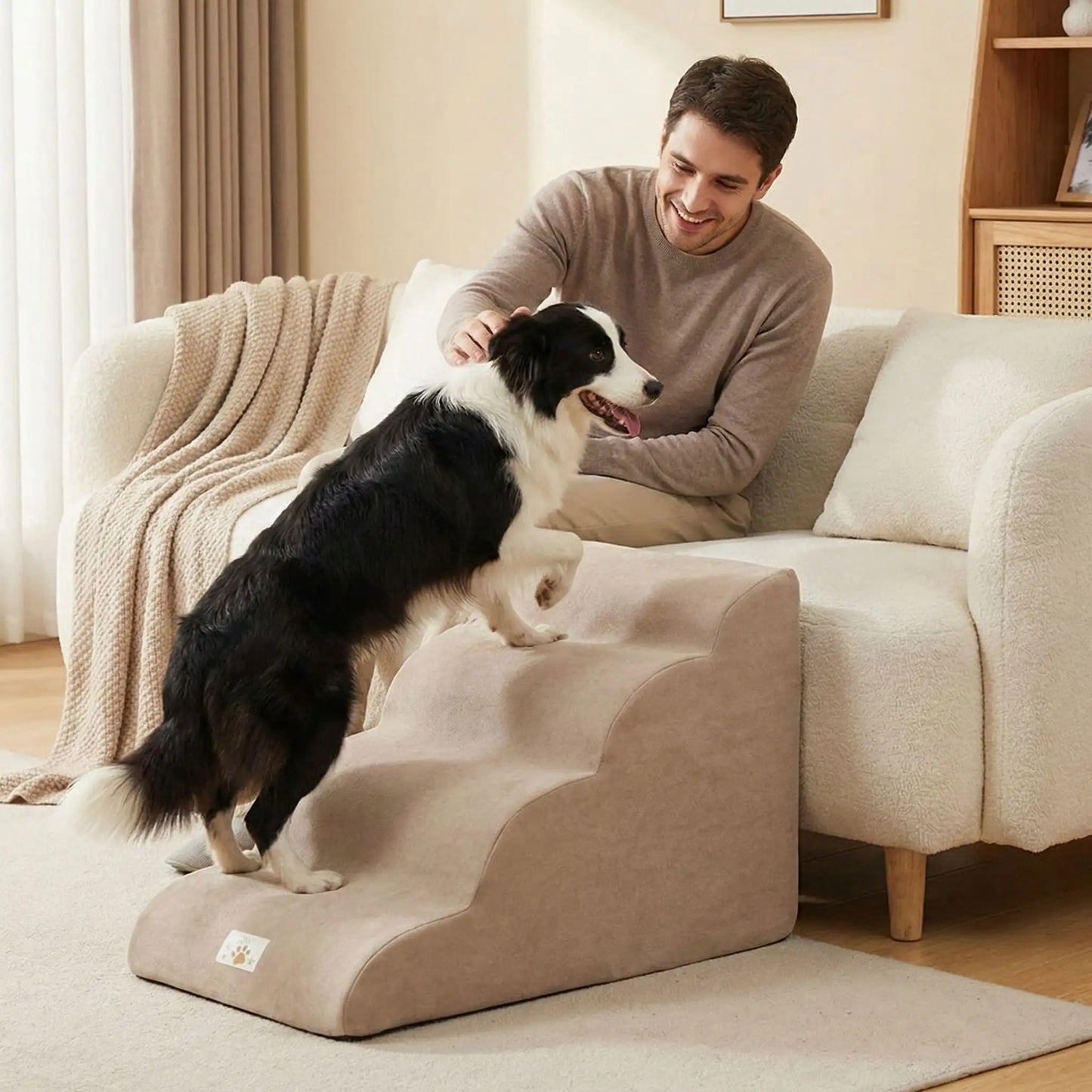 Escalier pour chien et chiot antidérapant, déhoussable lavable en machine avec mousse haute résilience à mémoire de forme pour protèger les articulations sensibles, sécurisé , confortable, résistant aux griffes pour petit et chien de moyenne taille-design velours sur le dessus ultra-doux et tissu en coton solide-un Border collie atteint de dysplaxie et souffrant aux articulation, tout heureux de monter sur l'escalier de 4 marches pour rejoindre sans effort son maitre souriant qui le caresse tendrement
