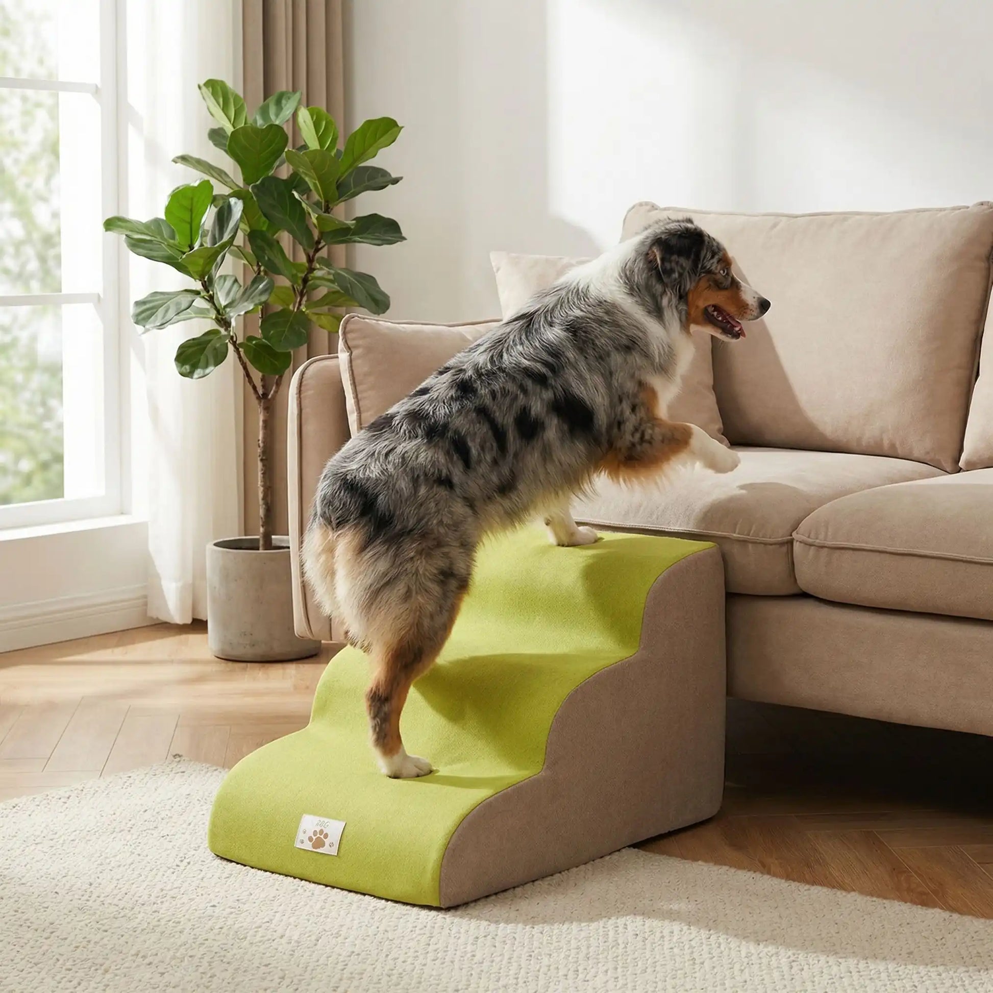 Escalier pour chien chiot antidérapant, déhoussable lavable en machine avec mousse haute résilience à mémoire de forme pour protèger les articulations sensibles, sécurisé , confortable, résistant aux griffes pour petit et chien de moyenne taille-design velours sur le dessus ultra-doux et tissu en coton solide-un Berger Australien qui utiilse le modèle 3 marches de couleur vert pour rejoindre en toute sécurité le canapé du salon de la maison