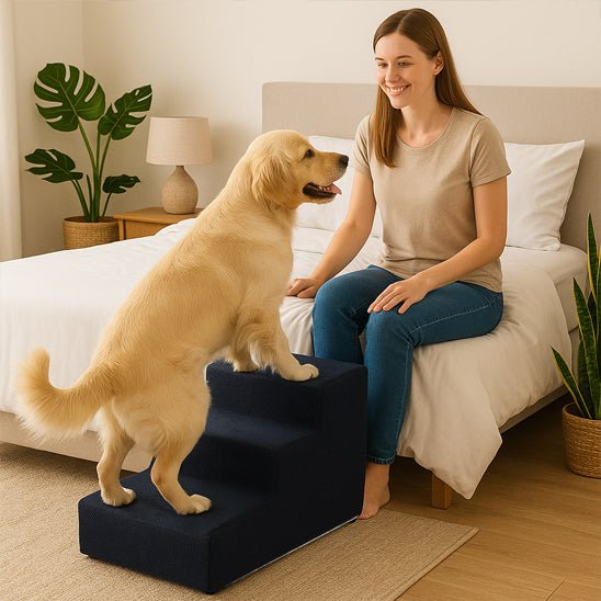 Escaliers pour chien et chiot antidérapant, déhoussable lavable en machine avec mousse haute résilience à mémoire de forme pour protèger les articulations sensibles, sécurisé , confortable, résistant aux griffes pour petit et chien de moyenne taille-design velours sur le dessus ultra-doux et tissu en coton solide-un chien de taille moyenne qui monte sur l'escalier en mousse de 3 marches ergonomique pour rejoindre sa mitresse assise sur son lit qui l'appelle à venir pour des moments de câlin et de tendresse