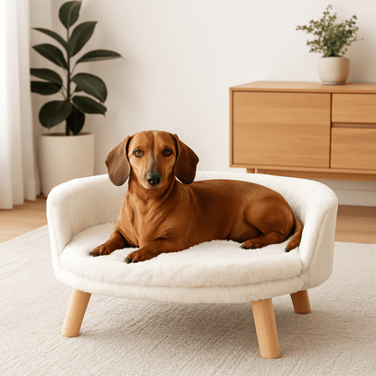 Fauteuil-pour-chien-imperméable-anti-stress-structure en bois naturel-coussin intérieur amovible, déhoussable et lavable en machine-surface douillette en peluche hypoallergénique rembourré 100% coton haute densité-sur pied en bois robuste et antidérapant-dossier arrondi et entourant-sécurisant et ergonomique-un chein nain qui se repose couché paisiblement sur son mini canapé au design scandinave de couleur crème-surélevé dans la chambre de la maison