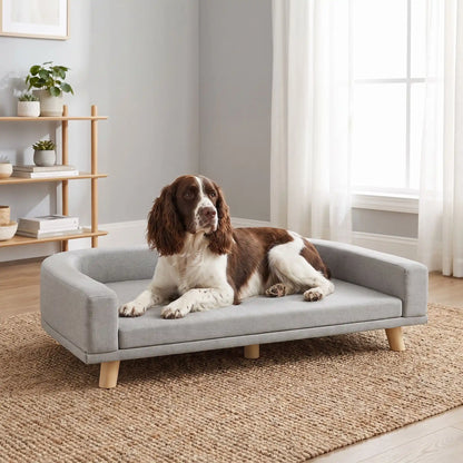 Fauteuil-pour-chien-design-bois-massif-velours, coussin amovible déhoussable et lavable, matelas orthopédique à mémoire de forme en éponge coton haute densité d'épaisseur de 4 cm, structure robuste en bois massif au design moderne et lignes arrondies et épurées avec dossier et acoudoirs enveloppants de couleur gris et pieds en bois naturel, style scandinave pour chiot et chien de petite à moyenne taille- un chien moyen couché confortablement sur son canapé design gris surélevé sur pieds en bois naturel