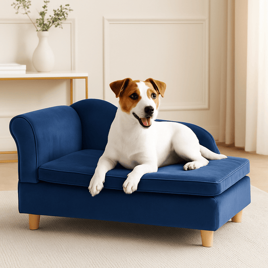 Fauteuil-pour-chien-taille-S-un Jack russell confortablement couché sur son canapé lit rectangulaire avec matelas en éponge haute résilience déhoussable et lavable en machine pour chien de petite taille en bois massif et velours dans le salon de la maison