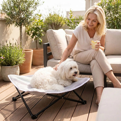Fauteuil-pour-petit-chien-camping-chaise pour chien beige ou noir, lit de camp carré avec tissu déhoussable imperméable et lavable, en maille respirante pour un lit rafraichissant en été structure en acier inoxydable solide et pliant pour une utilisation partout en intérieur et extérieur pour chiot et chien de petite race de 0 à 5 kilos-un chien de petite taille à poils épais et longs confortablement couché sur son lit de camp caresser tendrement par sa maitresse assise sur le canapé de la terrasse en été
