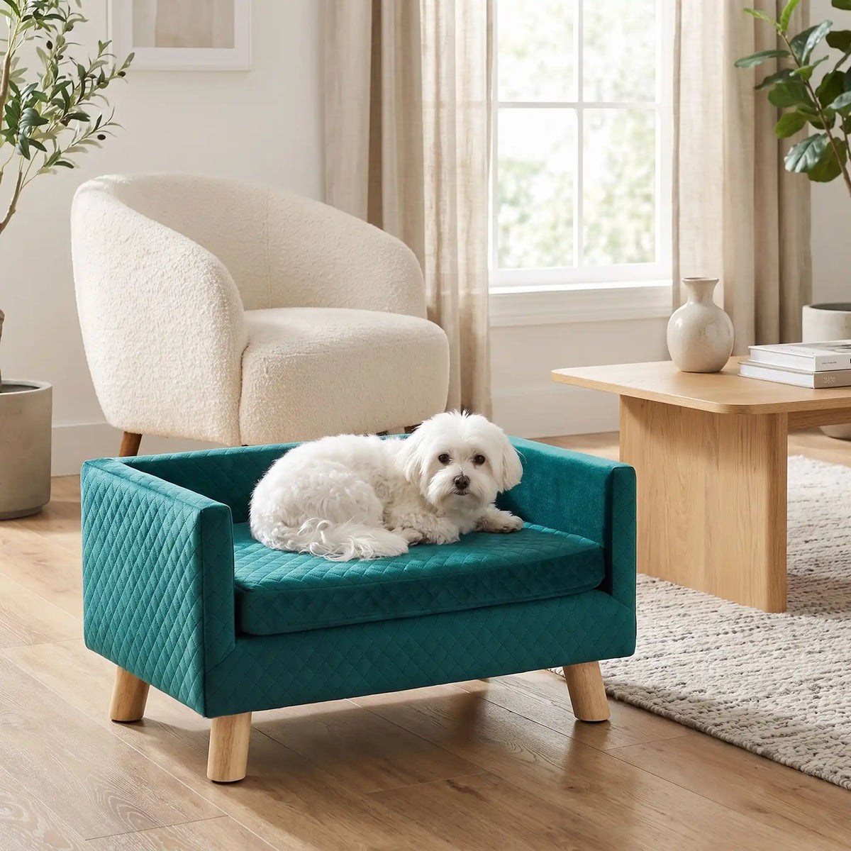 Fauteuil-pour-petit-chien-chiot-cocon- de petite taille de 0 à 8 kilos, structure en bois avec 4 pieds de bouleau robuste, dossier et accoudoir en U design nordique , 100 coton, toucher velours quadrillé pour un effet chic, matelas d'assise rectangulaire amovible en mousse 100% coton haute densité ergonomqiue déhoussable et lavable en machine, imperméable et résistant aux griffes-un chien de petite race couché confortablement sur son petit fauteuil design de couleur bleu canard surélevé dans le salon 