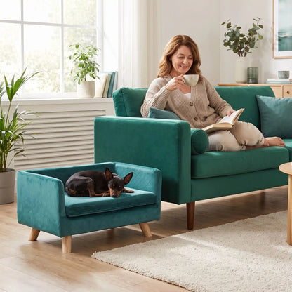 Fauteuil-pour-petit-chien-chiot-cocon- de petite taille de 0 à 8 kilos, structure en bois avec 4 pieds de bouleau robuste, dossier et accoudoir en U design nordique , 100 coton, toucher velours quadrillé pour un effet chic, matelas d'assise rectangulaire amovible en mousse 100% coton haute densité ergonomqiue déhoussable et lavable en machine, imperméable et résistant aux griffes-un chien de race miniature qui dort paisiblement sur son petit fauteuil design de couleur bleu canard surélevé dans le salon 