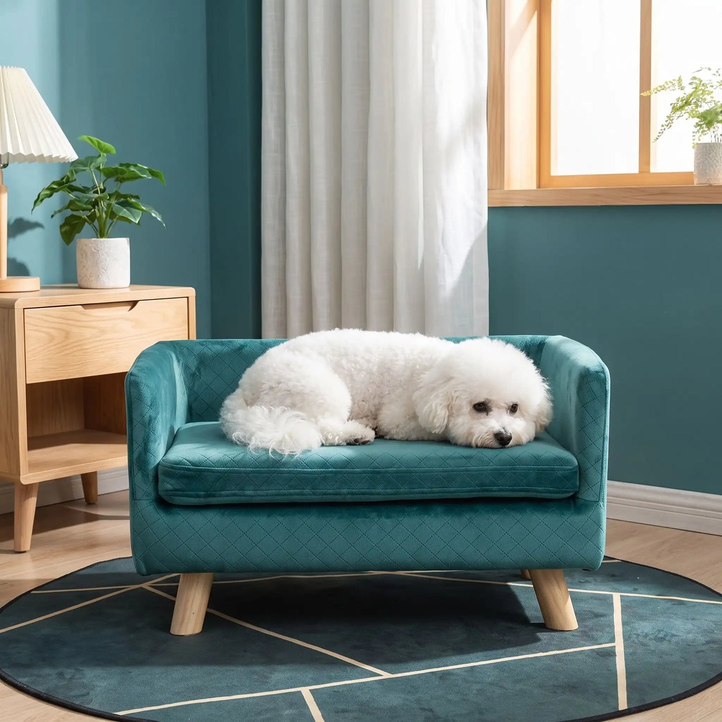 Fauteuil-pour-petit-chien-chiot-cocon- de petite taille de 0 à 8 kilos, structure en bois avec 4 pieds de bouleau robuste, dossier et accoudoir en U design nordique , 100 coton, toucher velours quadrillé pour un effet chic, matelas d'assise rectangulaire amovible en mousse 100% coton haute densité ergonomqiue déhoussable et lavable en machine, imperméable et résistant aux griffes-un petit chien couché confortablement sur son petit fauteuil design de couleur bleu canard surélevé dans la chambre de la maison