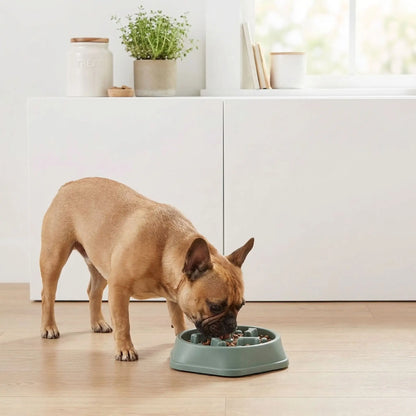 Gamelle-anti-glouton-chien-chiot-plastique robuste, saéns BPA, lavable en lave-vaiselle, avec design os en labyrinthe pour le ralentissement d'alimentation pour éviter la torsion de l'estomac, les vomissements, éternuments et facilite la digestion- un bouledogue qui mange doucement dans sa gamelle anti glouton avec ses pieds antidérapant sur le sol de la cuisine