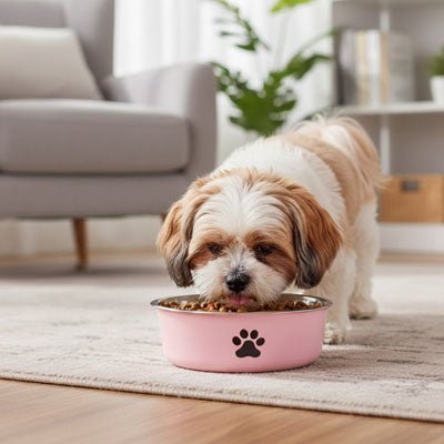 Gamelle chien, chiot, inox 304-3-tailles robuste et indéformable p design hygiénique, lavable en lave-vaisselle avec son fond antidérapant en silicone pour une stabilité à toute épreuve, anti renversement, anti éclaboussures, design noir avec patte de chien, en rose, bleu ou gris disponible en 3 tailles 250/500/1000 ml pour race de chiot ou chien de petite, moyenne, grande taille-un petit chien qui mange confortablement dans sa gamelle rose hygiénique avec son fond 100% antidérapant sur le sol du salon