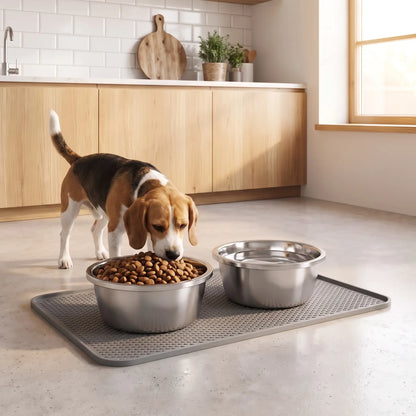 Gamelle-chien-chiot-inox 201 brillant, indéformable, surface lisse avec rebord, disponible en 4 tailles ⌀ 18/22/26/30cm , lavable au lave-vaisselle, lourde et stable, hygiénique, de qualité alimentaire, sans danger, et durable-un chien de moyenne taille qui mange dans sa gamelle en inox posé sur son tapis pour gamelle gris sur le sol de la cuisine de la maison