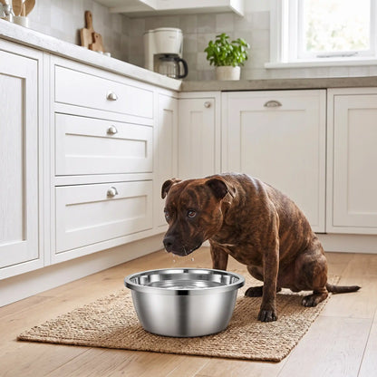 Gamelle-chien-chiot-inox 201 brillant, indéformable, surface lisse avec rebord, disponible en 4 tailles ⌀ 18/22/26/30cm , lavable au lave-vaisselle, lourde et stable, hygiénique, de qualité alimentaire, sans danger, et durable-un chien de race moyenne qui bois dans sa grande gamelle en inox posé sur le sol de la cuisine de la maison