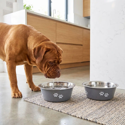 Gamelle-chien-chiot-lot-de-2-inox durable et robuste, design bleu ou gris avec pattes de chiens blanches , lavable en lave -vaisselle avec fond 360° en caoutchouc antidérapant et anti renversement, anti-rayures au sol, disponible en 4 tailles : 400/800 ml ou 1,5/2 litres pour chiot et chien de petite, moyenne et grande race- un gros chien  qui mange dans sa gamelle inox grise remplie d'eau à côté de l'autre gamelle grise de 2 litres remplie d'eau fraiche sur le sol en granit de la cuisine 