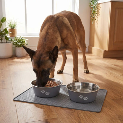 Gamelle-chien-chiot-lot-de-2-inox durable et robuste, design bleu ou gris avec pattes de chiens blanches , lavable en lave -vaisselle avec fond 360° en caoutchouc antidérapant et anti renversement, anti-rayures au sol, disponible en 4 tailles : 400/800 ml ou 1,5/2 litres pour chiot et chien de petite, moyenne et grande race- un chien de race moyenne qui mange dans sa gamelle inox grise remplie de croquette à côté de l'autre gamelle grise remplie d'eau fraiche sur le sol en parquet flottant du salon 