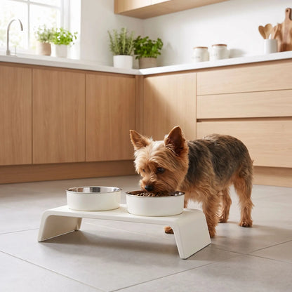Gamelle-chien-surélevée-chiot-design de couleur blanc épuré de 8,5 cm de hauteur avec ses deux gamelles en inox amovibles lavable en lave-vaisselle avec pieds antidérapants, adapté aux chiots et chiens de petite race ou petite taille- un petit chien qui mange confortablement et dans la bonne posture dans sa gamelle surélevée sur son support design moderne blanc avec sa gamelle d'eau intégré sur le sol de la cuisine de l'appartement