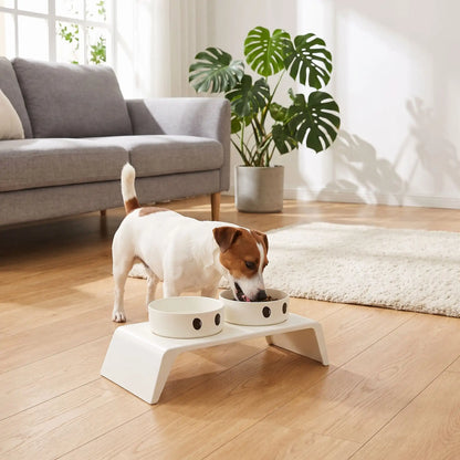 Gamelle-chien-surélevée-chiot-design de couelur blanc épuré de 8,5 cm de hauteur avec ses deux gamelles en inox amovibles lavable en lave-vaisselle avec pieds antidérapants, adapté aux chiots et chiens de petite race ou petite taille- un chien de petite race qui mange confortablement et dans la bonne posture dans sa gamelle surélevée sur son support design moderne blanc avec sa gamelle d'eau intégré sur le sol du salon de la maison