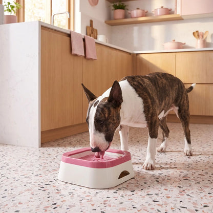 Gamelle-d-eau-pour-chien et chiot anti-éclaboussures et anti bave, en ABS robuste de qualité alimentaire, sans BPA, démontable en 3 parties: contenant carré avec plateau flottant qui distribue l'eau et la garde propre et son socle supérieur qui assure la sécurité de l'ensemble et ses pieds antidérapant, capacité de 1 litre pour chiot et chien de petite à moyenne race-un chien de moyenne race active qui boit proprement et confortablement dans sa gamelle d'eau anti renversement sur le sol de la cuisine 