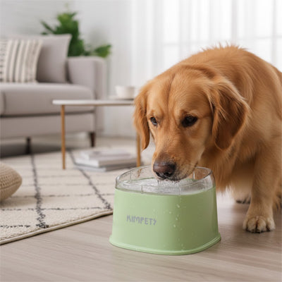 Gamelle-eau-chien-anti-eclaboussure-chiot-anti-bave avec base flottante et rebord surélevé anti projection, en plastique PP robuste de qualité alimentaire sans BPA, lavable en lave-vaisselle, démontable en 3 parties, garde l'eau propre et hygiénique et les babines de chien et les sols de la maison secs, grande capacité de 2 litres en 3 couleurs : blanc, vert et noir-un chien de grande taille qui boit proprement et sans salir le sol en parquet du salon; dans sa gamelle d'eau anti éclaboussure de couleur vert