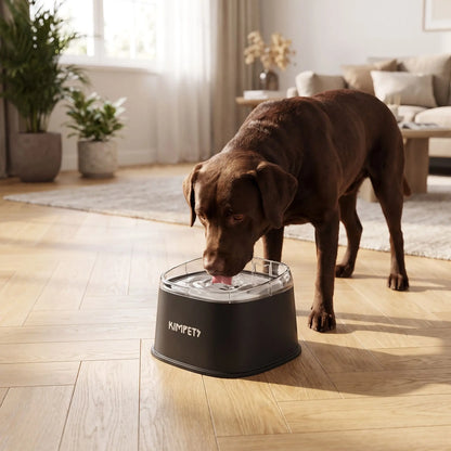 Gamelle-eau-chien-anti-eclaboussure-chiot-anti-bave avec base flottante et rebord surélevé anti projection, en plastique PP robuste de qualité alimentaire sans BPA, lavable en lave-vaisselle, démontable en 3 parties, garde l'eau propre et hygiénique et les babines de chien et les sols de la maison secs, grande capacité de 2 litres en 3 couleurs : blanc, vert et noir-un chien baveur qui boit proprement et sans salir le sol en parquet du salon; dans sa gamelle d'eau anti éclaboussure de couleur noir