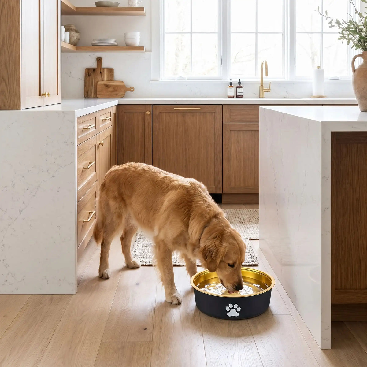 Gamelle-en-inox 304 robuste et indéformable pour chien et chiot design hygiénique, lavable en lave-vaisselle avec son fond antidérapant en silicone pour une stabilité à toute épreuve, anti renversement, anti éclaboussures, design noir avec une patte de chien blanche et intérieur chic de couleur or ou bronze, disponible en 3 tailles 250/500/1000 ml pour toute taille, race de chiot ou chien du petite, moyenne à grande-un grand chien qui boit dans sa gamelle d'eau propre de 1 litre sur le sol de la cuisine 