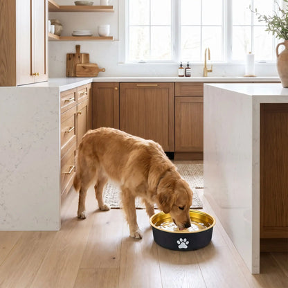 Gamelle-en-inox 304 robuste et indéformable pour chien et chiot design hygiénique, lavable en lave-vaisselle avec son fond antidérapant en silicone pour une stabilité à toute épreuve, anti renversement, anti éclaboussures, design noir avec une patte de chien blanche et intérieur chic de couleur or ou bronze, disponible en 3 tailles 250/500/1000 ml pour toute taille, race de chiot ou chien du petite, moyenne à grande-un grand chien qui boit dans sa gamelle d'eau propre de 1 litre sur le sol de la cuisine 