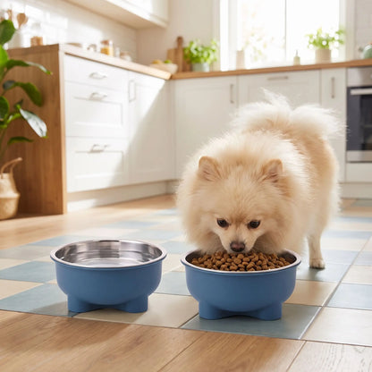 Gamelle-en-inox-pour-chien-petite-taille-surélevée sur pieds antidérapant avec gamelle en inox lavable en lave-vaisselle amovible et son support PP sans BPA avec une capacité de 500 ml pour chiot et chien de petite à moyenne taille, disponible en 4 coloris  jaune, vert, bleu et rouge-un chien de petite taille qui mange confortablement ses croquettes dans sa gamelle en inox dans son support design surélevée de couleur bleue sur le sol en parquet de la cuisine de la maison