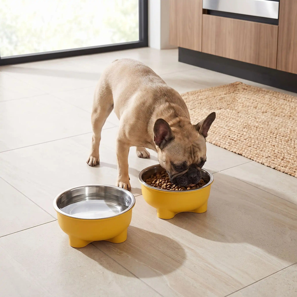 Gamelle-en-inox-pour-chien-petite-taille-surélevée sur pieds antidérapant avec gamelle en inox lavable en lave-vaisselle amovible et son support PP sans BPA avec une capacité de 500 ml pour chiot et chien de petite à moyenne taille, disponible en 4 coloris  jaune, vert, bleu et rouge-un chiot de race moyenne qui boit son eau fraiche et propre dans sa gamelle en inox dans son support design surélevée de couleur jaune sur le sol en parquet du salon de l'appartement