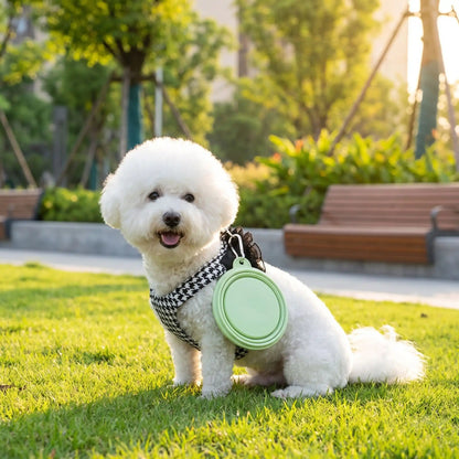 Gamelle-pliable-chien-chiot-lot-de-2-en silicone alimentaire, garanti sans produits chimiques, lavable en lave-vaisselle, robuste et compact comme un CD avec son mousqueton pour l'accrocher n'importe où, léger avec ses 80g, disponible en 2 tailles 350ml et 1000 ml pour toutes races de chien et trois couleur : rose, bleu et vert-un petit chien qui porte sur son harnais par le mousqueton sa gamelle en silicone pliable en promenade dans le parc