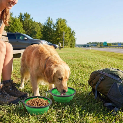 Gamelle-pliable-chien-compacte avec mousqueton, vendues par lot de deux, robuste et solide et lavable en lave-vaisselle, disponible en 3 modèles : 350ml, 1L, 1,5L pour chien de toutes tailles, pour utilisation en voyage, à l'extrieur, en sortie, en promenade pour croquette, nourriture ou eau- un chien qui boit dans la gamelle d'eau avec son autre gamelle dépliée remplie de croquette sur une aire de repos d'autoroute avec sa maitresse qui sourit assise à côté sur le banc pour un arrêt sur la route