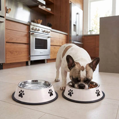 Gamelle-pour-chien-anti-renversement avec base élargie et anneau en silicone amovible, inox robuste et indéformable, hygiénique, lavable en lave-vaisselle pour une stabilité à toute épreuve, anti renversement, design avec pattes de chien, en blanc ou gris disponible en 4 tailles 300/700/1000/1200 ml pour race de chiot ou chien de petite, moyenne, grande taille-un chien moyen qui mange confortablement dans sa gamelle inox hygiénique avec son fond 100% antidérapant sur le sol de la cuisine de l'appartement
