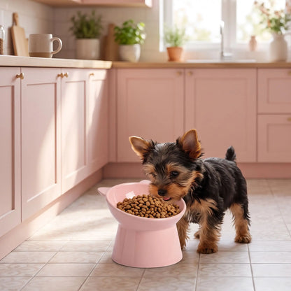 Gamelle-pour-petit-chien-haute-inclinée à 45° pour protéger son cou, vendues par lot-de-2, sur une base large est stable, contenance de 200g/200ml pour chien de petite race et chiot de petite à moyenne race de 3 à 8 kg, gamelle surélevée séparée en ABS sûr de qualité alimentaire sans BPA, ni produits toxiques, avec design oreille, solide et incassable, lavable au lave- vaisselle-un Yorkshire qui mange confortablement dans sa gamelle surélevée de 8 cm sur le sol en carrelage de la cuisine 