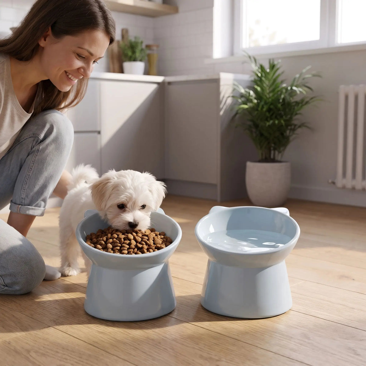 Gamelle-pour-petit-chien-haute-inclinée à 45° pour protéger son cou, vendues par lot-de-2, sur une base large est stable, contenance de 200g/200ml pour chien de petite race et chiot de petite à moyenne race de 3 à 8 kg, gamelle surélevée séparée en ABS sûr de qualité alimentaire sans BPA, ni produits toxiques, avec design oreille, solide et incassable, lavable au lave- vaisselle-un chiot bichon maltais en servrage avec sa gamelle haute bleue remplie de croquette qu'il mange sous le regard de sa maitresse