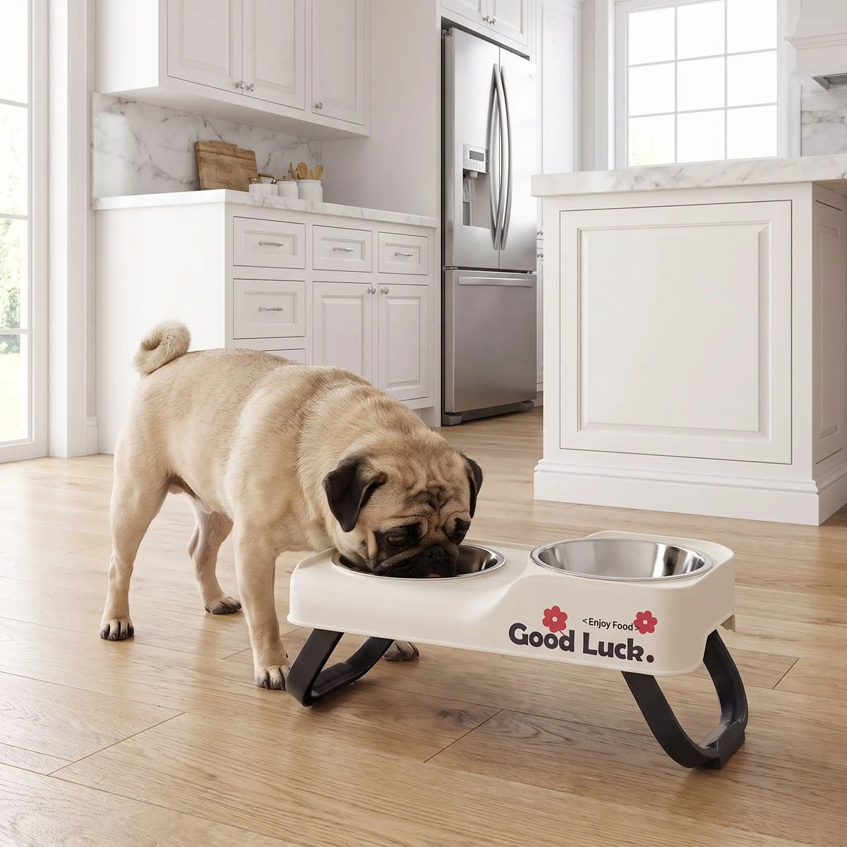 Gamelles-chien-en-hauteur-asymétrique-avec-support et pied surélevé pliable en ABS robuste et gamelle inox de 350/380ml chacune en lot de 2, lavable en lave-vaisselle pour race de chien de petite à moyenne taille, transportable , hygiénique qui s'adapte à la croissance du chiot - un chien de petite taille qui boit confortablement dans sa gamelle d'eau surélevée de 5 cm par rapport à la deuxième gamelle de nourriture plus basse sur le support blanc sur ses deux pieds antidérapants sur le sol