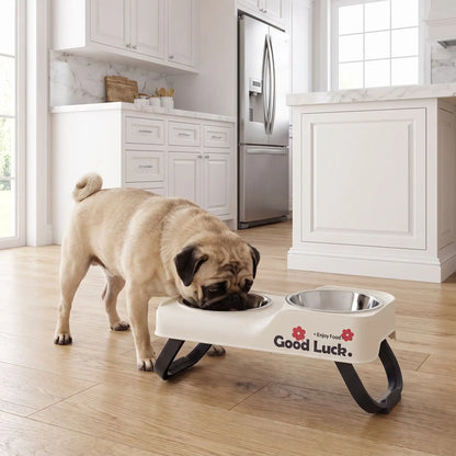 Gamelles-chien-en-hauteur-asymétrique-avec-support et pied surélevé pliable en ABS robuste et gamelle inox de 350/380ml chacune en lot de 2, lavable en lave-vaisselle pour race de chien de petite à moyenne taille, transportable , hygiénique qui s'adapte à la croissance du chiot - un chien de petite taille qui boit confortablement dans sa gamelle d'eau surélevée de 5 cm par rapport à la deuxième gamelle de nourriture plus basse sur le support blanc sur ses deux pieds antidérapants sur le sol