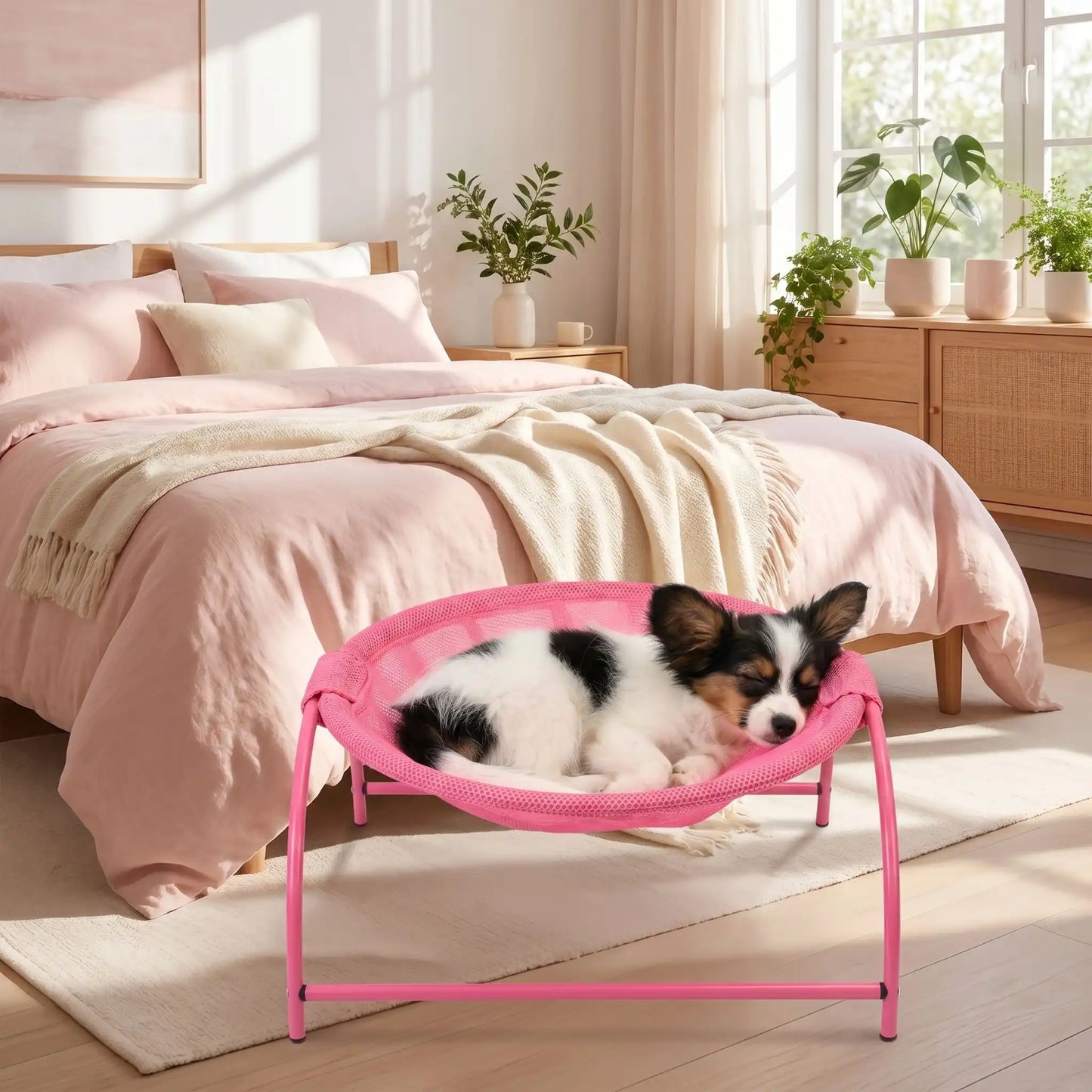 Hamac-pour-chien-chiot-exterieur et interieur en maille respirante et hypoallergénique, structure solide en acier avec 3 pieds et renfort par de barres latérales, cerceau central entourant et apaisant pour les chiot et chien de petite taille et de races naines de 0 à 3 kilos max , imperméable et lavable-un épagneul papillon qui dort paisiblement niché dans son hamac rond rose entourant avec sa structure en acier sur pieds dans la chambre de la maison en été